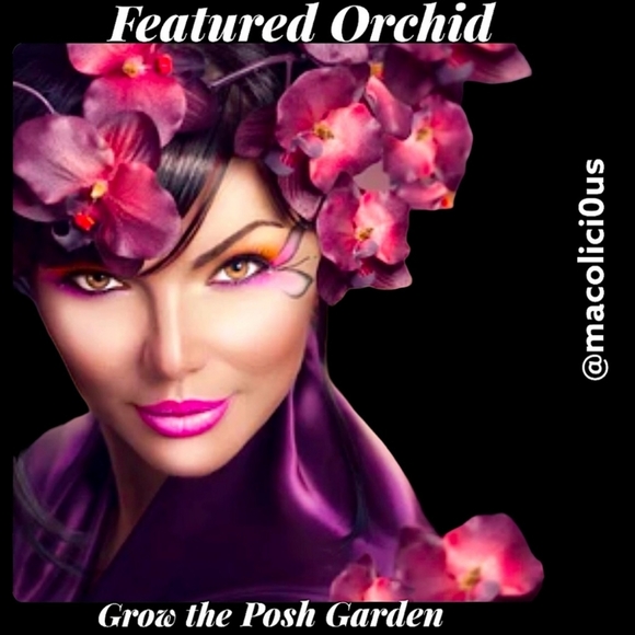 I'm featured 12/10/22host @macolici0us thank you! - Picture 9 of 9